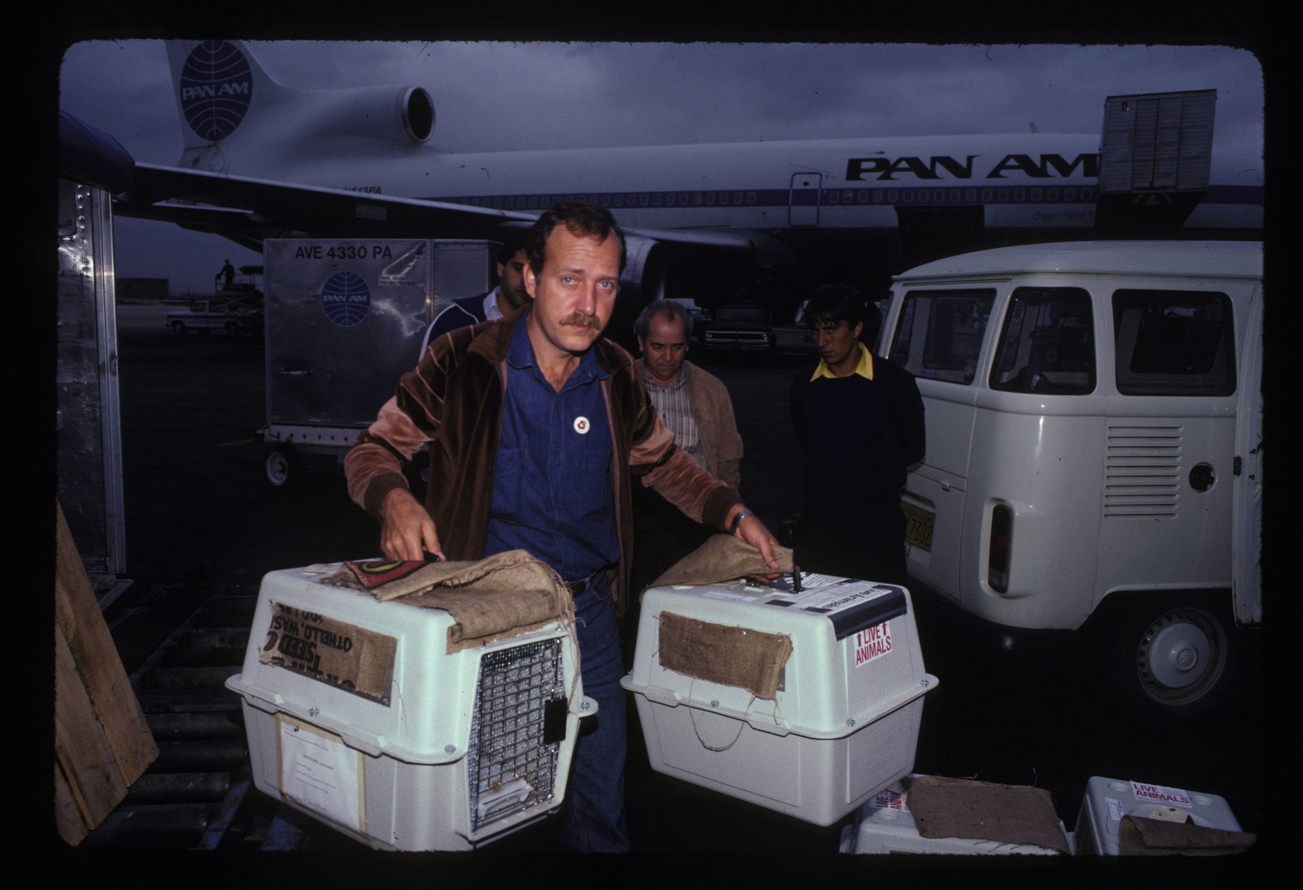 Reintrodução de mico-leão-dourado a Reserva Biológica Poço das Antas. Desembarque no Aeroporto Intenacional do Galeão, Rio de Janeiro, em 1985. Na foto, vemos Dionizio Pessamillio, primeiro chefe da Reserva Biológica poço das Antas.