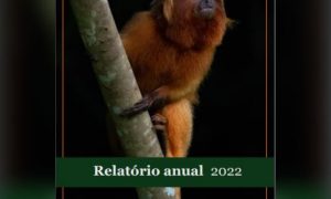 Está no ar o Relatório 2022 da Associação Mico-Leão-Dourado